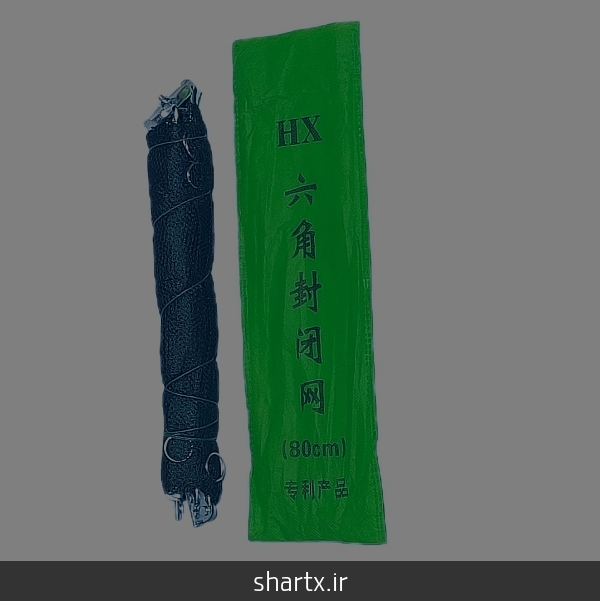 رشد بچه ماهی